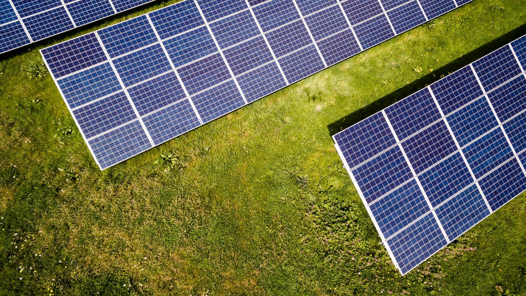 Aerial view of a solar array